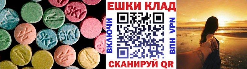 ЭКСТАЗИ Philipp Plein  как найти закладки  Микунь 