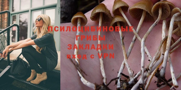 стафф Алексин