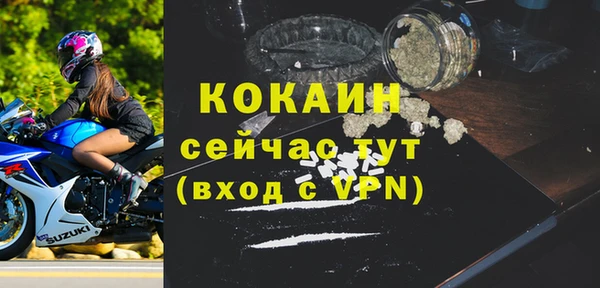 стафф Алексин