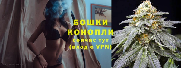 прущие крисы Осинники